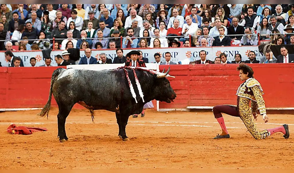 Arequipa: ¿Las corridas de toros y las peleas de gallos son cultura? 