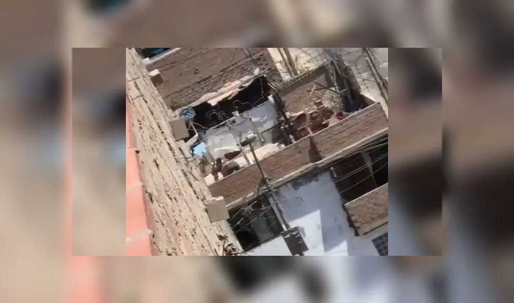 Son dos las personas que aparecen maltratando al can en el video. Foto: Captura. Son dos las personas que aparecen maltratando al can en el video. Foto: Captura.