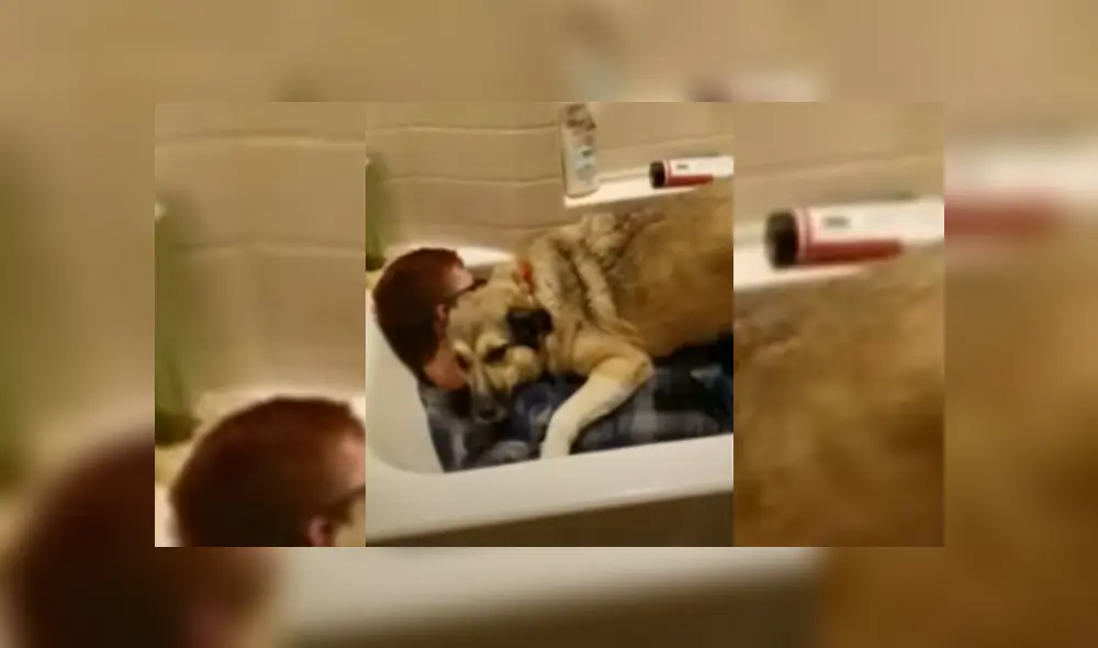 Video es viral en YouTube. El can se fue corriendo hasta el escondite de su dueño y trató de protegerlo con singular conducta. Video es viral en YouTube. El can se fue corriendo hasta el escondite de su dueño y trató de protegerlo con singular conducta.