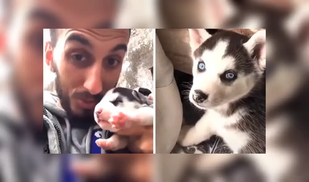 Desliza las imágenes para conocer los tiernos momentos que grabó un joven de su adorada mascota.