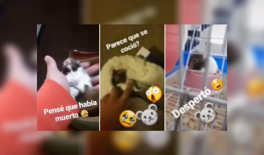 Desliza las imágenes para ver más sobre esta escena que impactó a miles en YouTube. (Foto: captura)