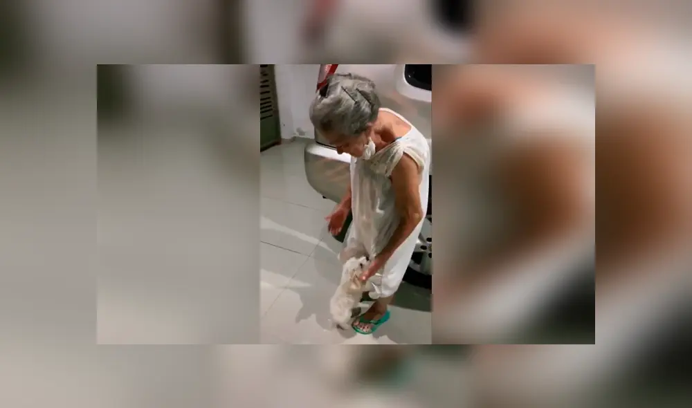 Desliza las imágenes para apreciar la emotiva despedida entre una anciana con su pequeña mascota. Desliza las imágenes para apreciar la emotiva despedida entre una anciana con su pequeña mascota.