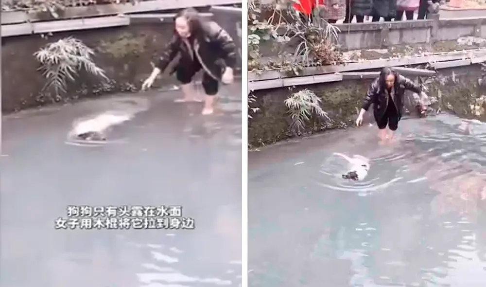 Desliza hacia la izquierda para ver las imágenes del rescate del perro de las aguas heladas de un río en China. Foto: captura de YouTube