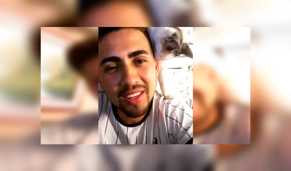 En Facebook, un gato se subió encima de su dueño cuando lo escuchó interpretar una popular canción. En Facebook, un gato se subió encima de su dueño cuando lo escuchó interpretar una popular canción.