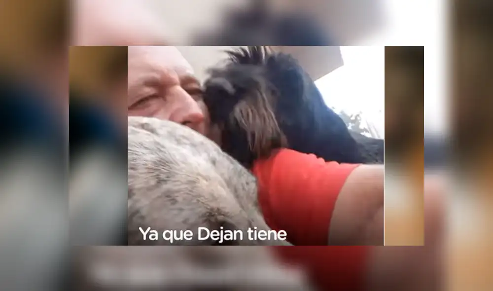 Desliza hacia la izquierda para ver el video viral de YouTube que muestra a los 600 perros junto a su dueño. Desliza hacia la izquierda para ver el video viral de YouTube que muestra a los 600 perros junto a su dueño.