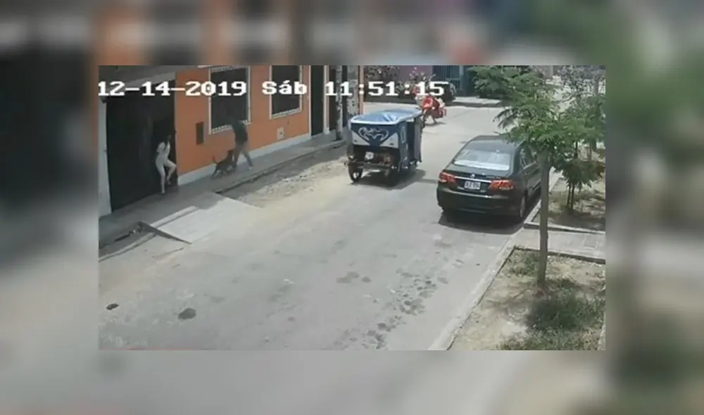 Debido al aumento de la delincuencia, la mayoría de familias de la urbanización Los Nísperos han optado por tener perros en las puertas de sus casas para que los defiendan. (Foto: Captura de video / América Noticias) Debido al aumento de la delincuencia, la mayoría de familias de la urbanización Los Nísperos han optado por tener perros en las puertas de sus casas para que los defiendan. (Foto: Captura de video / América Noticias)