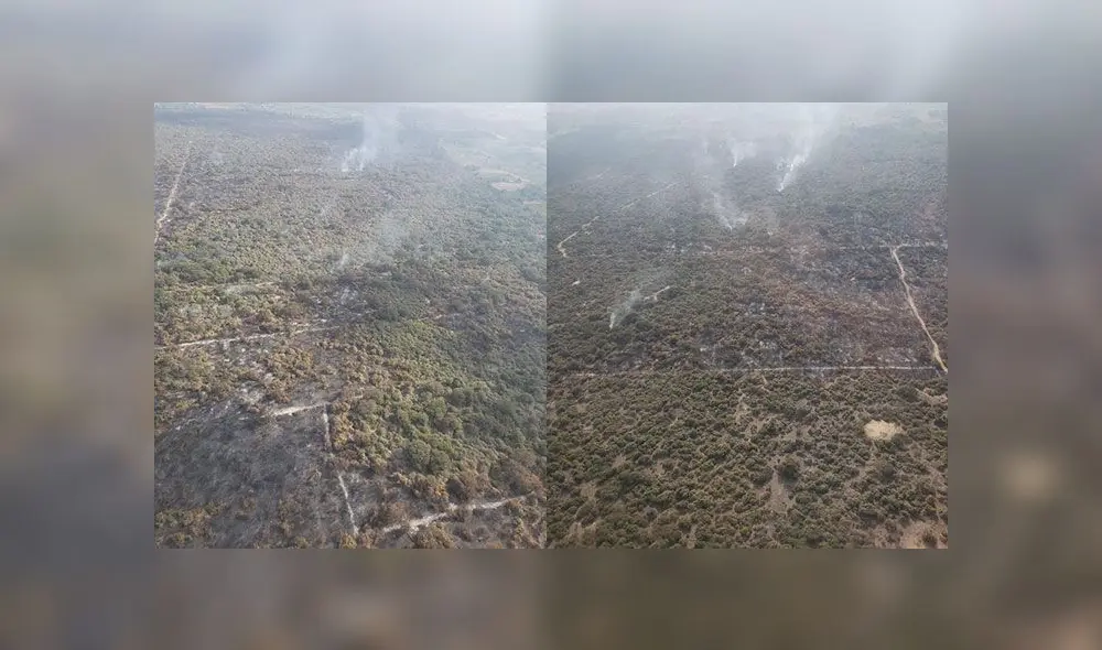 Controlan en un 90% incendio forestal en el Bosque de Pómac