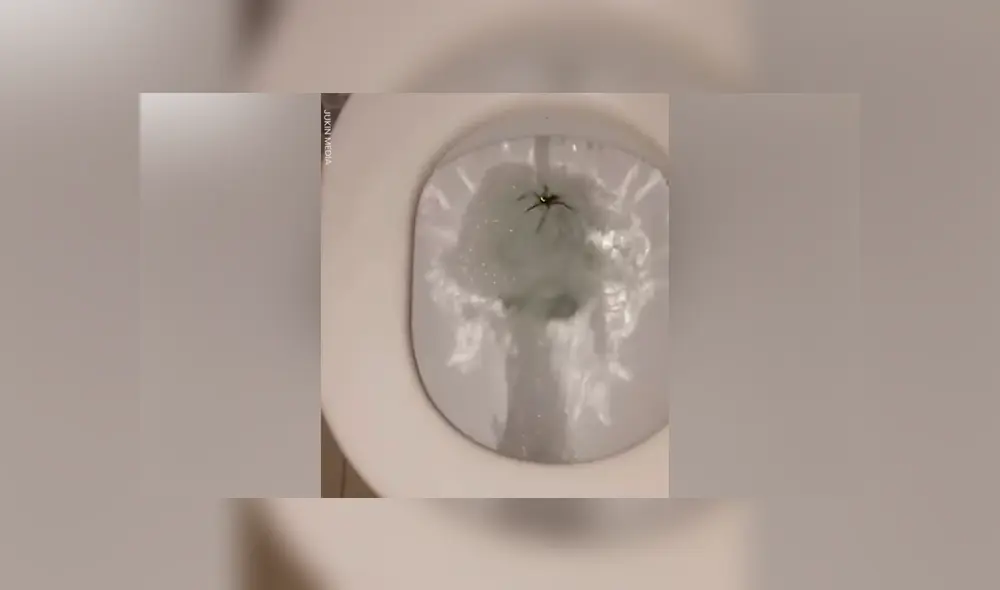 Desliza para ver los momentos más aterradores del video que se volvió viral en YouTube.