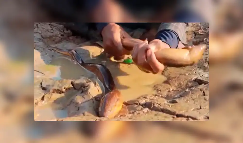 Desliza hacia la izquierda para ver el hallazgo que hizo un pensado y se hizo viral en YouTube.