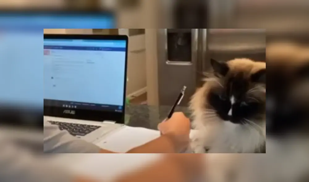 Desliza hacia la izquierda para ver más del video viral Desliza hacia la izquierda para ver más del video viral