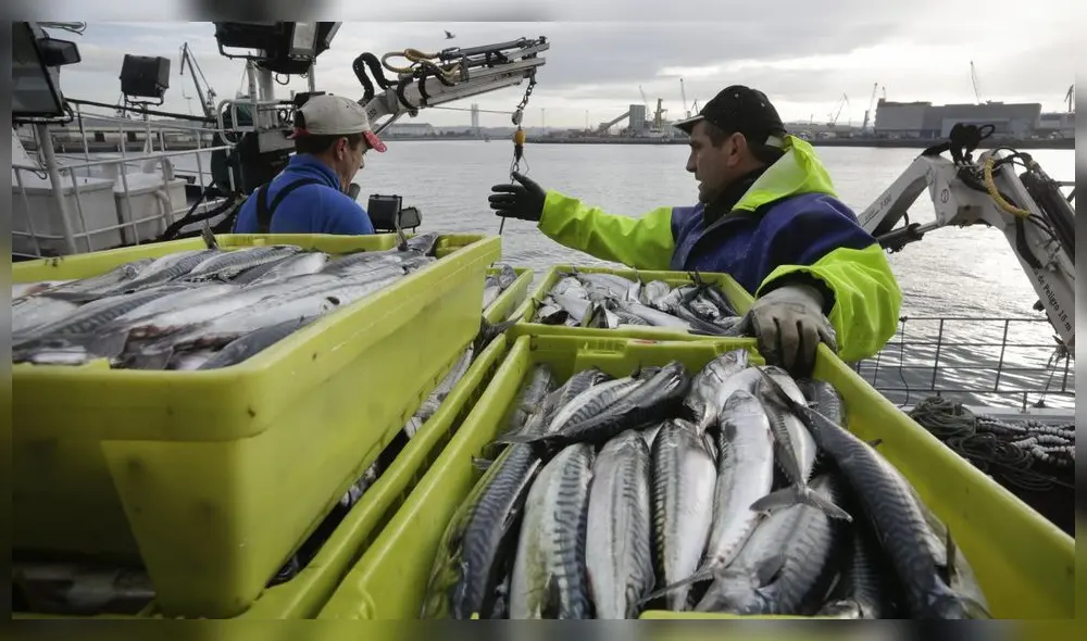 Un 80% de nuestras exportaciones de harina de pescado va a China Un 80% de nuestras exportaciones de harina de pescado va a China