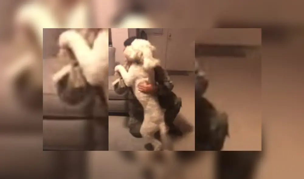 Desliza hacia la izquierda para ver más del video viral. Desliza hacia la izquierda para ver más del video viral.