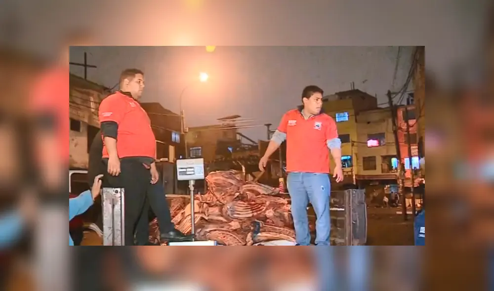 Carne de equino Carne de equino