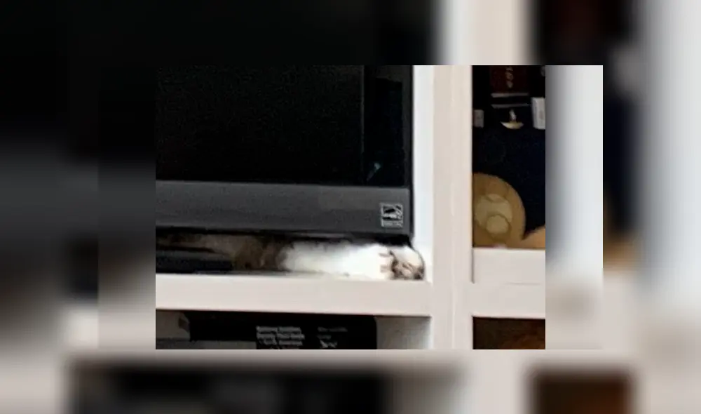 Desliza las imágenes hacia la izquierda para conocer la verdadera respuesta del nuevo reto de Facebook. Foto: Kate Hinds.