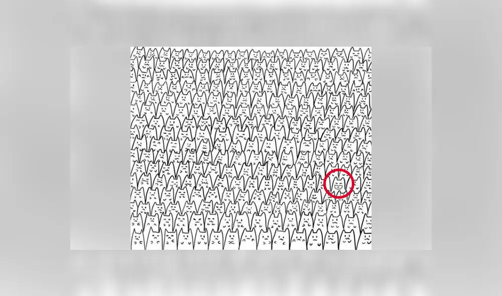 Intenta superar este reto visual en el que muy poco han tenido éxito. Foto: Facebook. Intenta superar este reto visual en el que muy poco han tenido éxito. Foto: Facebook.