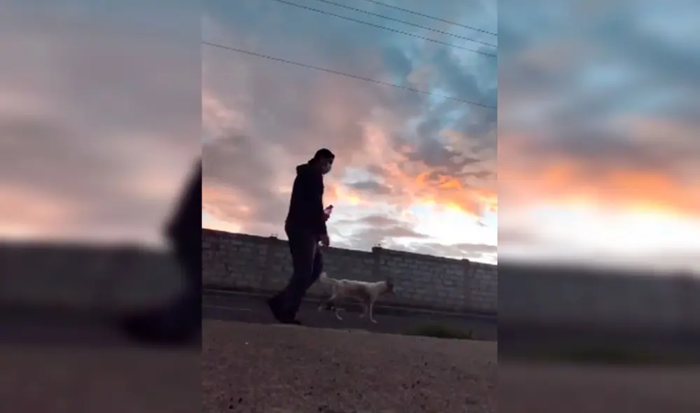 Desliza las imágenes para conocer la historia de un perro que consiguió un nuevo hogar al acogido de la calle. Foto: Captura de Facebook