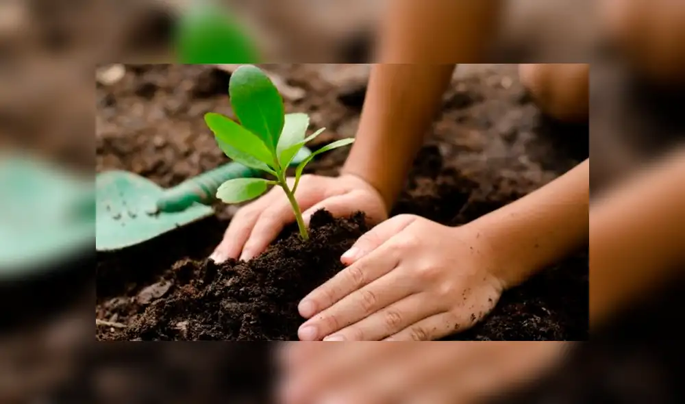 Día de la Tierra: ¿por qué y cuándo empezó a celebrarse esta fecha?