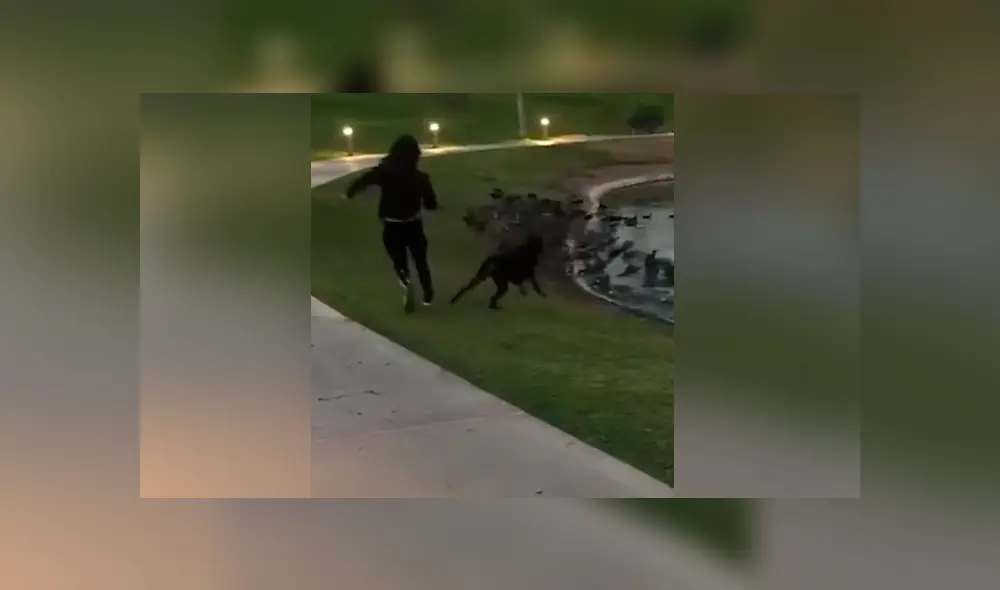 Desliza para ver los momentos más divertidos del video que se hizo viral en Facebook. Desliza para ver los momentos más divertidos del video que se hizo viral en Facebook.