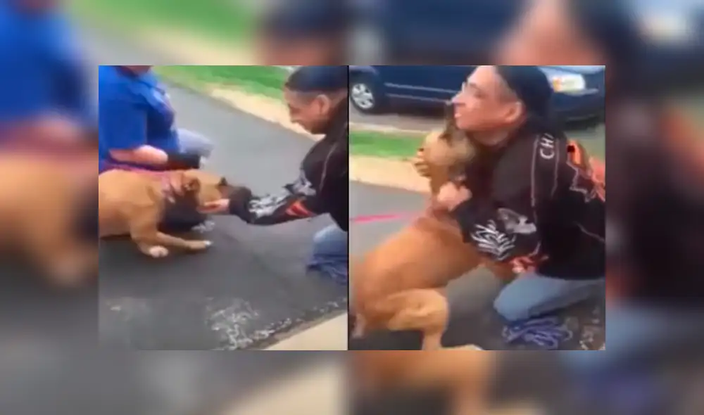 Desliza hacia la izquierda para ver el conmovedor reencuentro de un perro con su amo que se ha vuelto viral en Facebook.