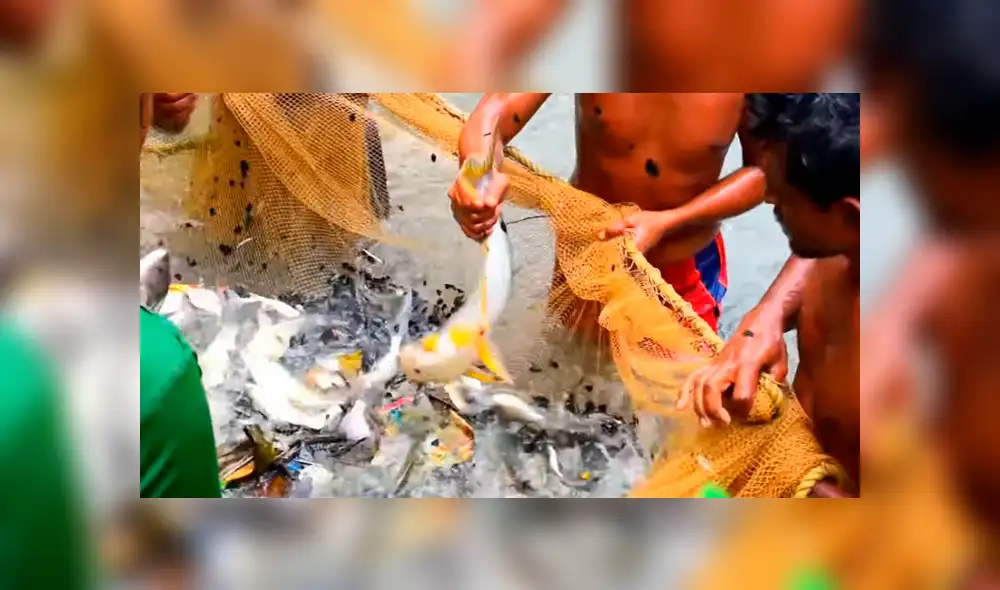 YouTube viral: arrojan enorme red en profundo lago y miles de misteriosas criaturas emergen YouTube viral: arrojan enorme red en profundo lago y miles de misteriosas criaturas emergen