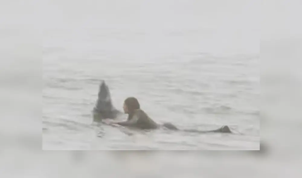 Joven practicaba surf en el agua cuando una foca aparece saltando y lo asusta [VIDEO]