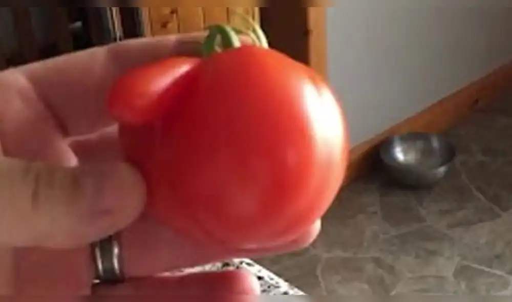 Facebook: Encuentran el tomate más extraño del mundo y todos quedan en shock