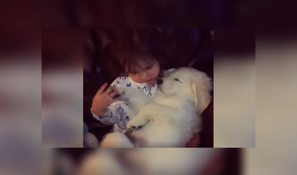 Desliza las imágenes para apreciar la amorosa escena que protagonizaron un perro junto a un pequeña. Desliza las imágenes para apreciar la amorosa escena que protagonizaron un perro junto a un pequeña.