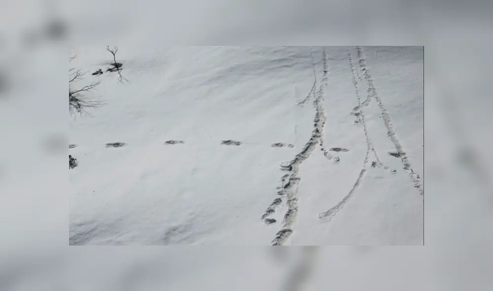 Ejército indio revela que descubrió 'huellas del Yeti' en nevado del Himalaya y recibe críticas Ejército indio revela que descubrió 'huellas del Yeti' en nevado del Himalaya y recibe críticas