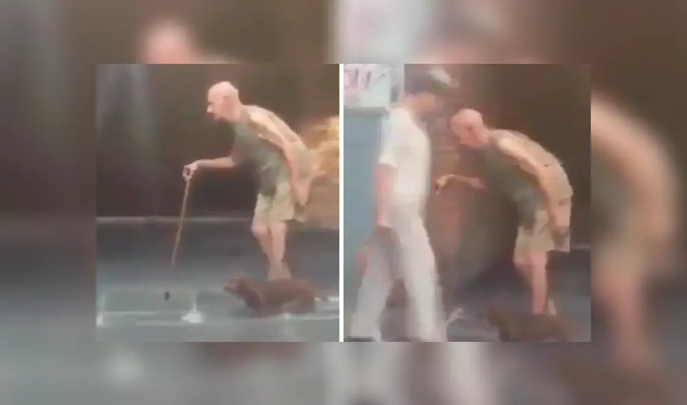 Vía Facebook. Niños captaron al anciano caminando junto a su perro por una calle y las emotivas imágenes han conmovido a cientos de internautas