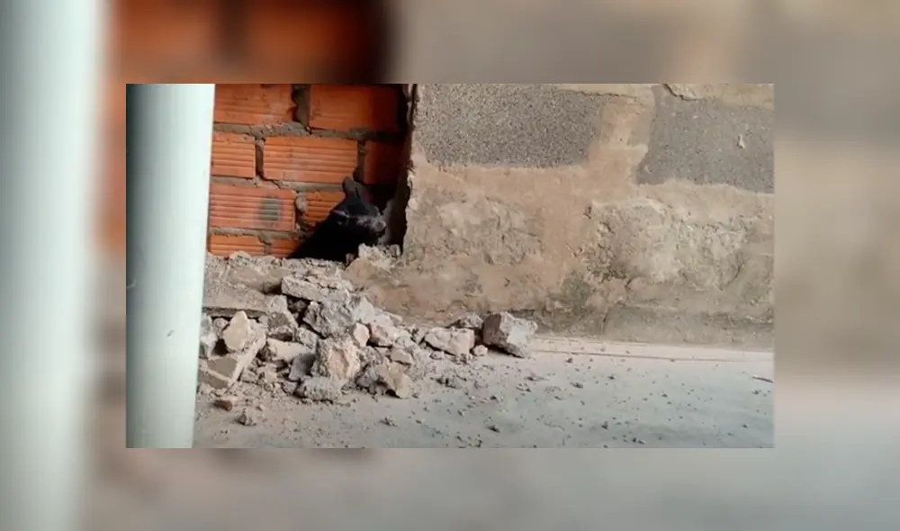 Desliza hacia la izquierda para ver el conmovedor rescate que se hizo viral en Facebook. Video: Captura. Desliza hacia la izquierda para ver el conmovedor rescate que se hizo viral en Facebook. Video: Captura.