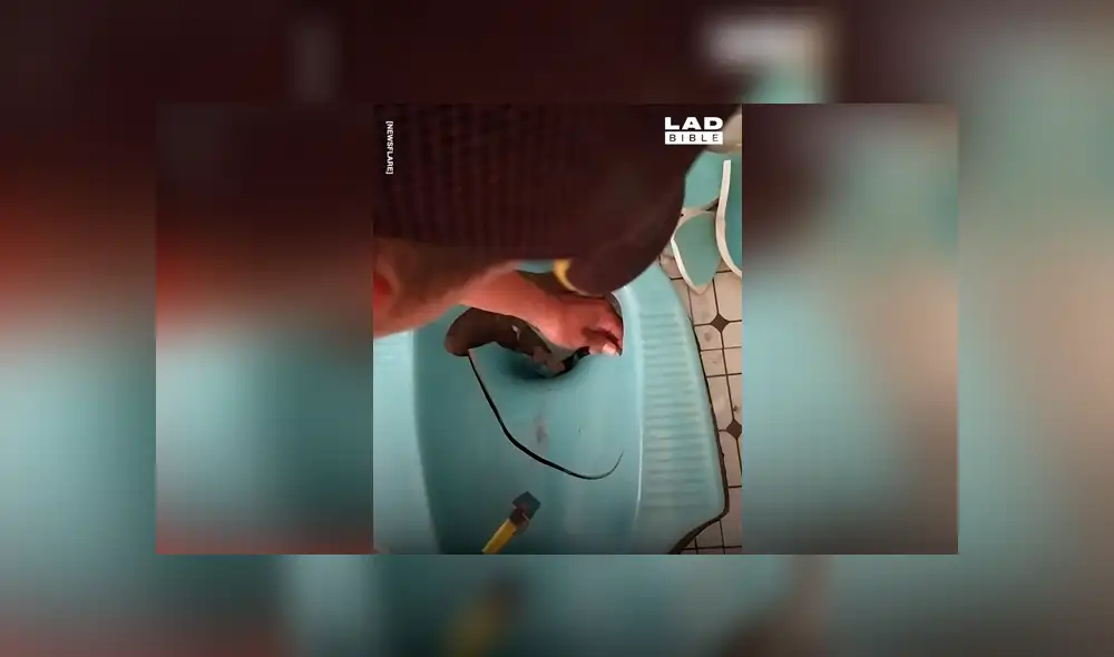 Escucha desgarradores ruidos de bañera, la destruye y encuentra insólita criatura [VIDEO] 
