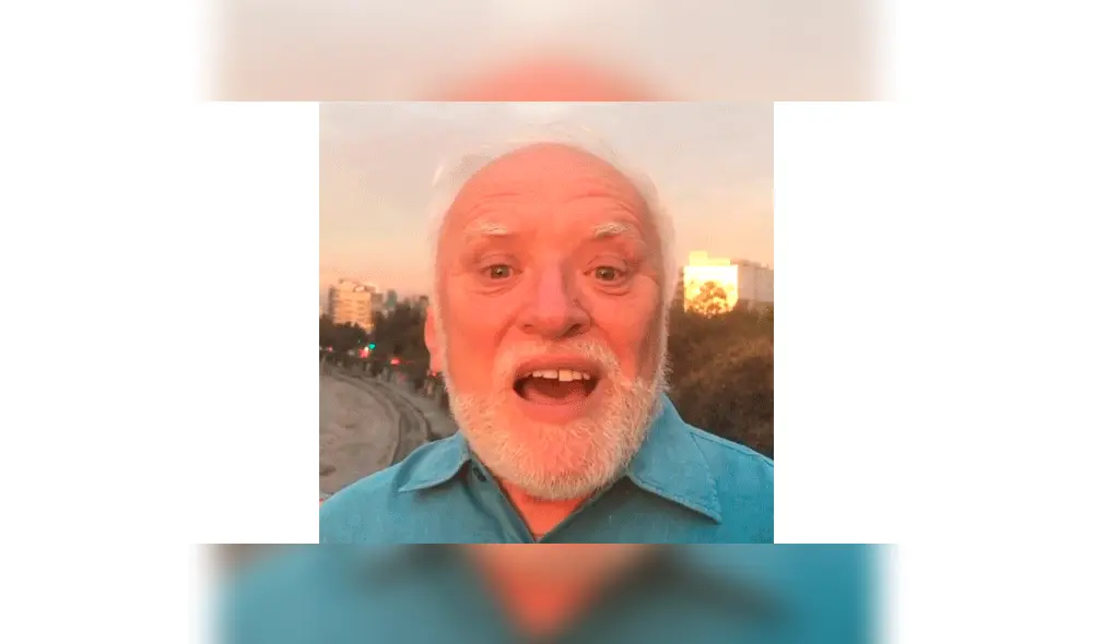 hide the pain harold mm