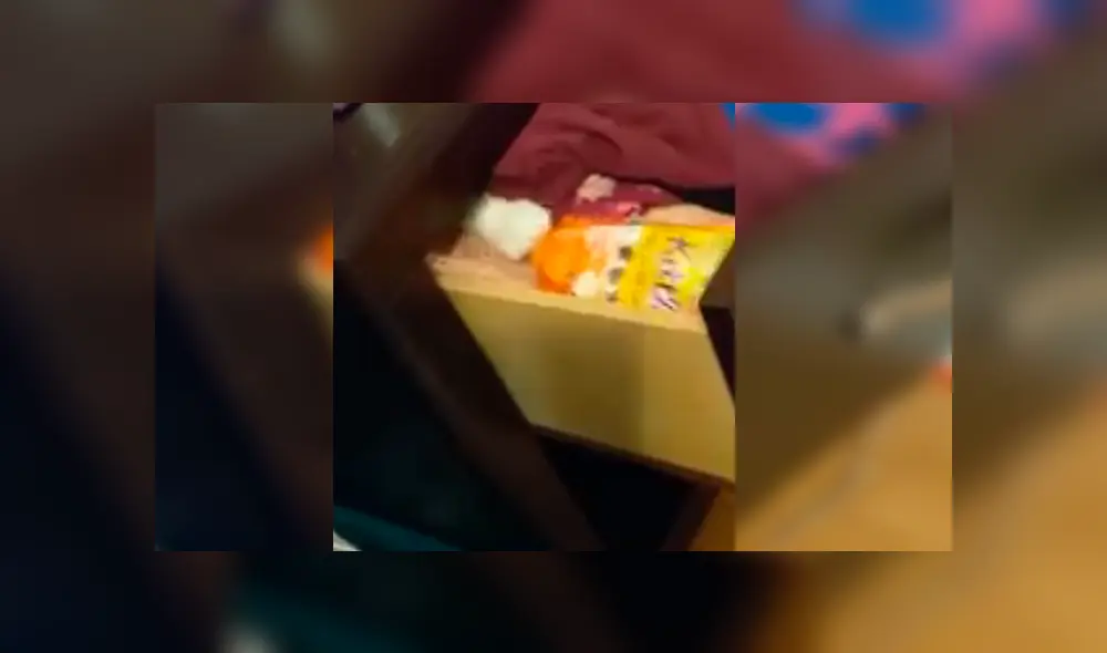 La graciosa hazaña del gato para robar comida clandestinamente desató miles de carcajadas en Facebook La graciosa hazaña del gato para robar comida clandestinamente desató miles de carcajadas en Facebook