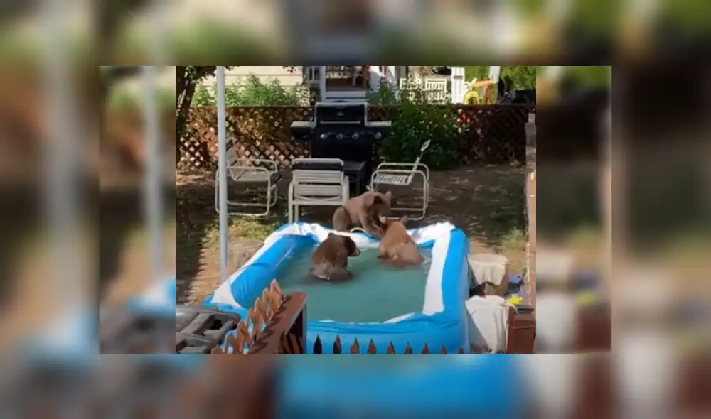 Desliza para ver más imágenes de esta curiosa escena captada en una vivienda de Estados Unidos. (Foto: captura / YouTube)