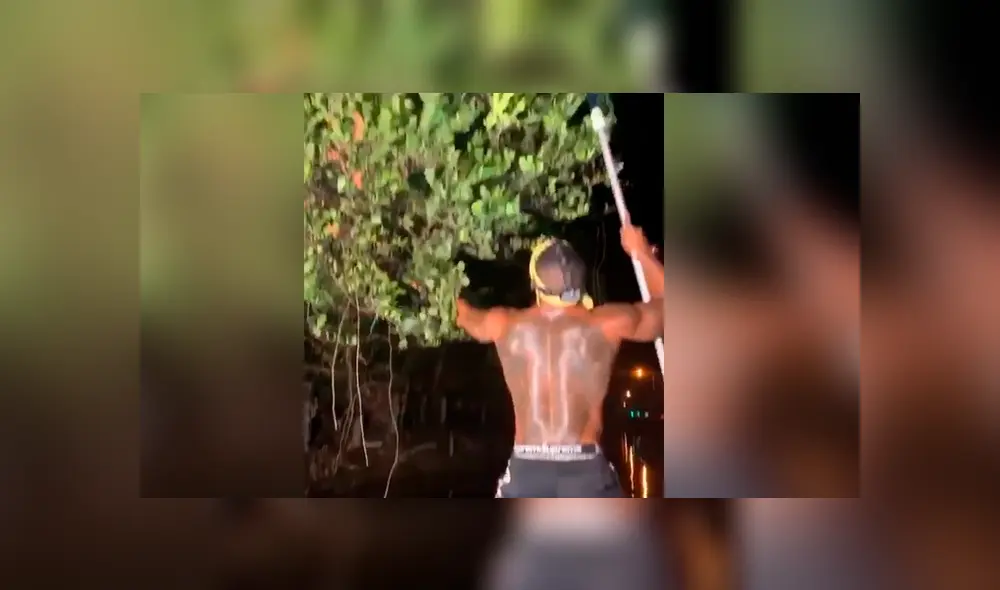 Una misteriosa criatura que estaba en un árbol se abalanzó contra un hombre.