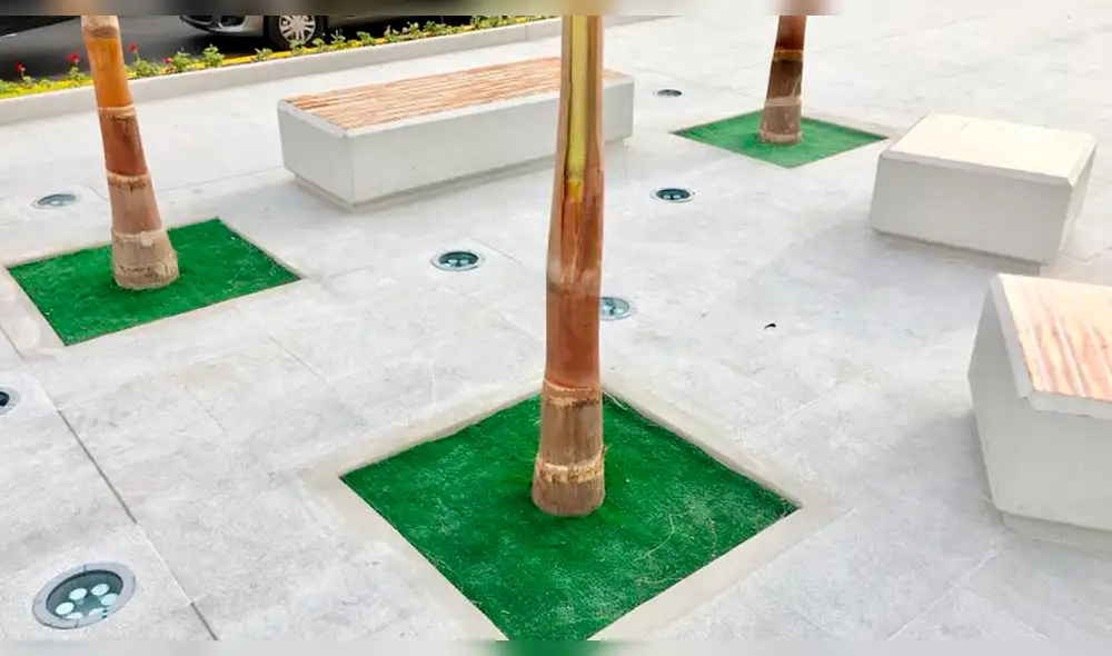 Facebook: Critican "áreas verdes" de la alameda de 28 de julio [FOTOS]