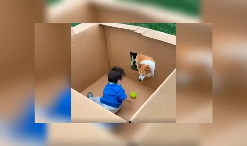 Desliza las imágenes para apreciar el conmovedor momento entre un bebé junto a su adorada mascota.