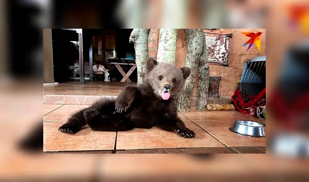 Desliza la imagen de Facebook para ver todas las conmovedoras fotos. Desliza la imagen de Facebook para ver todas las conmovedoras fotos.