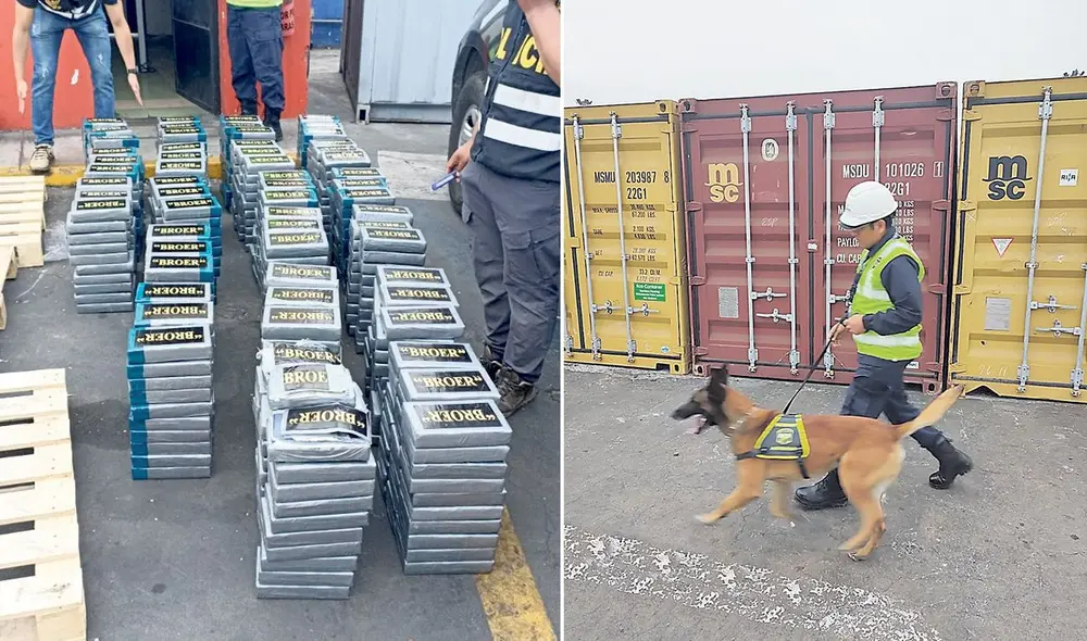 Los paquetes de cocaína tenian el logotipo "Broer". Foto difusion.