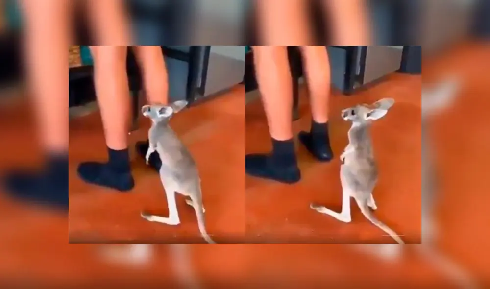 Desliza a la izquierda para ver este enternecedor acto. Foto: Captura. Desliza a la izquierda para ver este enternecedor acto. Foto: Captura.