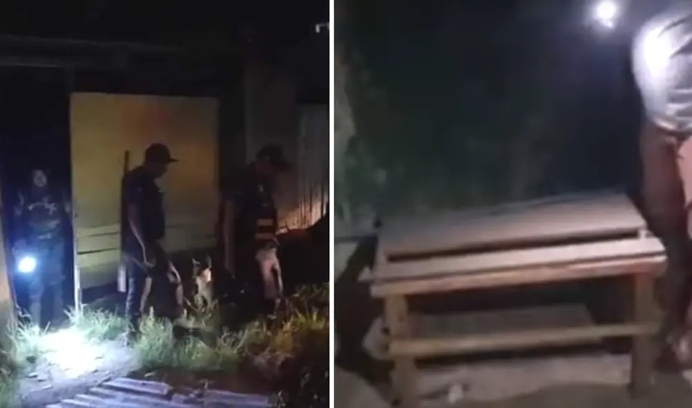 Ayacucho menor reportada como desaparecida fue hallada en casa abandonada donde habría sido ultrajada  Mimp  PNP. Foto: composición LR/capturas de redes sociales