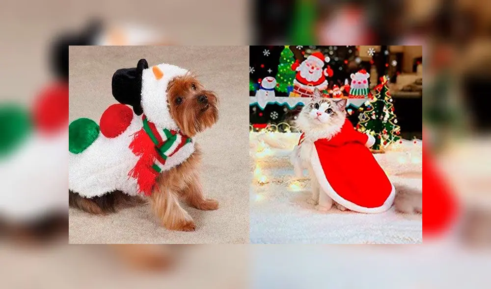 ropa de mascotas en Navidad
