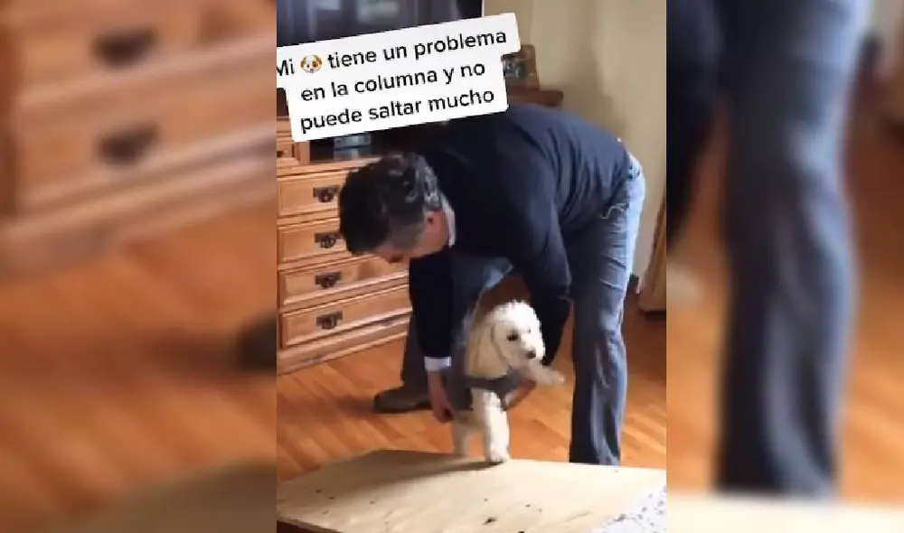 Las imágenes del video han cautivado a miles de usuarios en las redes sociales. Foto: Facebook/TikTok/@manebarbieri