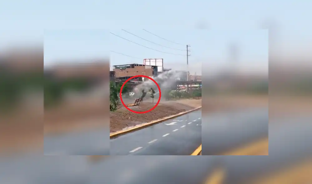 Facebook Viral: perro se da "duchazo" y divierte a miles en la red [VIDEO]