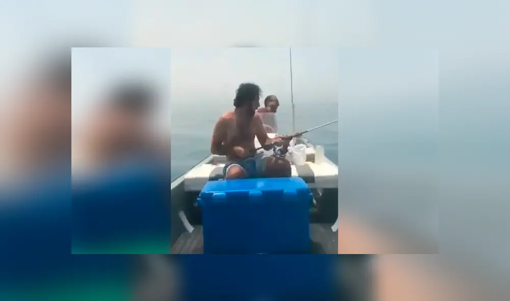 Un video muestra el instante en el que un joven se lleva el susto de su vida al ver un desconcertante ser en el agua. Un video muestra el instante en el que un joven se lleva el susto de su vida al ver un desconcertante ser en el agua.