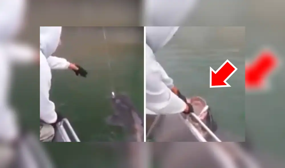 YouTube vira: intenta atrapar a 'extraña criatura' y termina 'mordisqueado' por el animal [VIDEO]