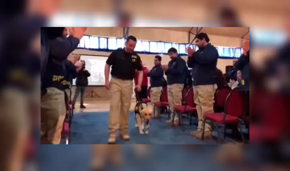 En YouTube, un grupo de policías realizó una conmovedora despedida a un perro que trabajo durante seis años. En YouTube, un grupo de policías realizó una conmovedora despedida a un perro que trabajo durante seis años.