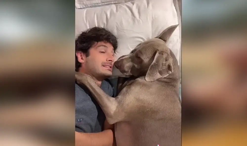 Desliza hacia la izquierda para ver las imágenes del video viral. Foto: captura de YouTube.