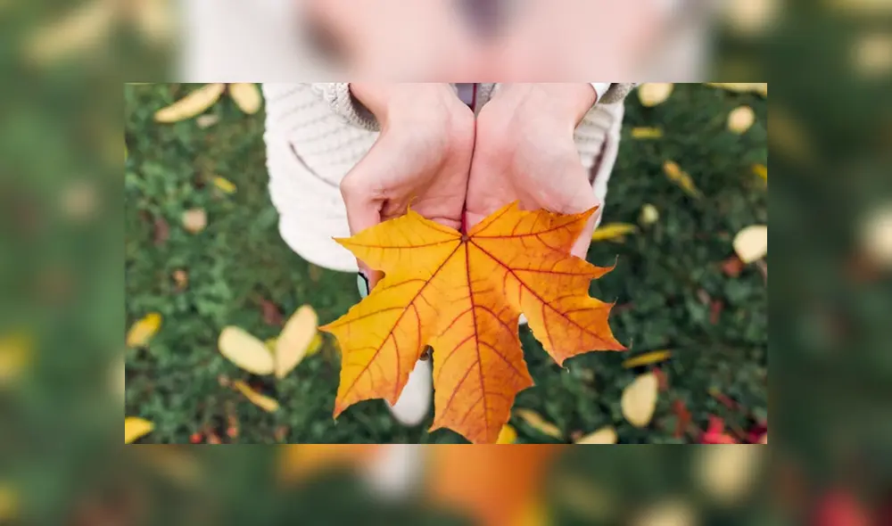 Equinoccio de otoño: ¿qué es y por qué este año comienza un día antes de lo habitual? Equinoccio de otoño: ¿qué es y por qué este año comienza un día antes de lo habitual?