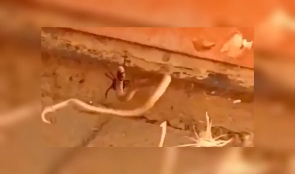 Desliza pata ver todas las imágenes de Facebook. Foto: captura. Desliza pata ver todas las imágenes de Facebook. Foto: captura.